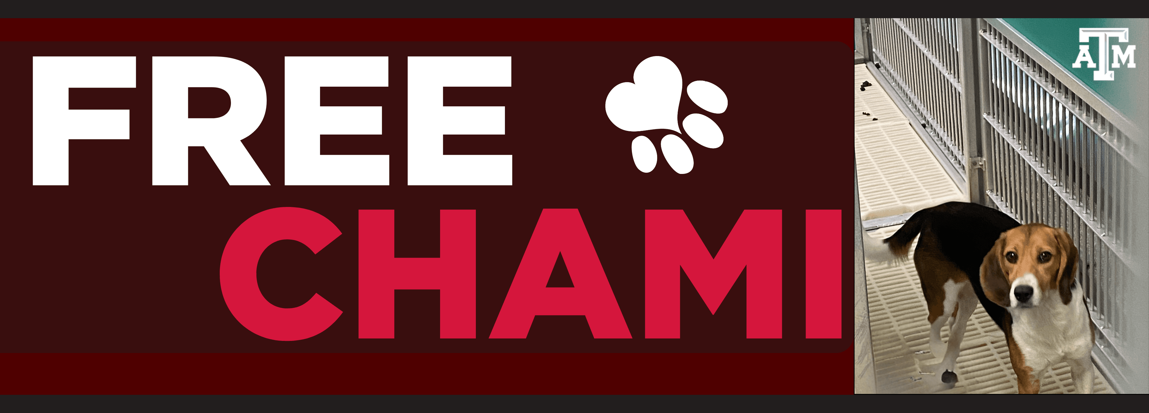 FREE CHAMI